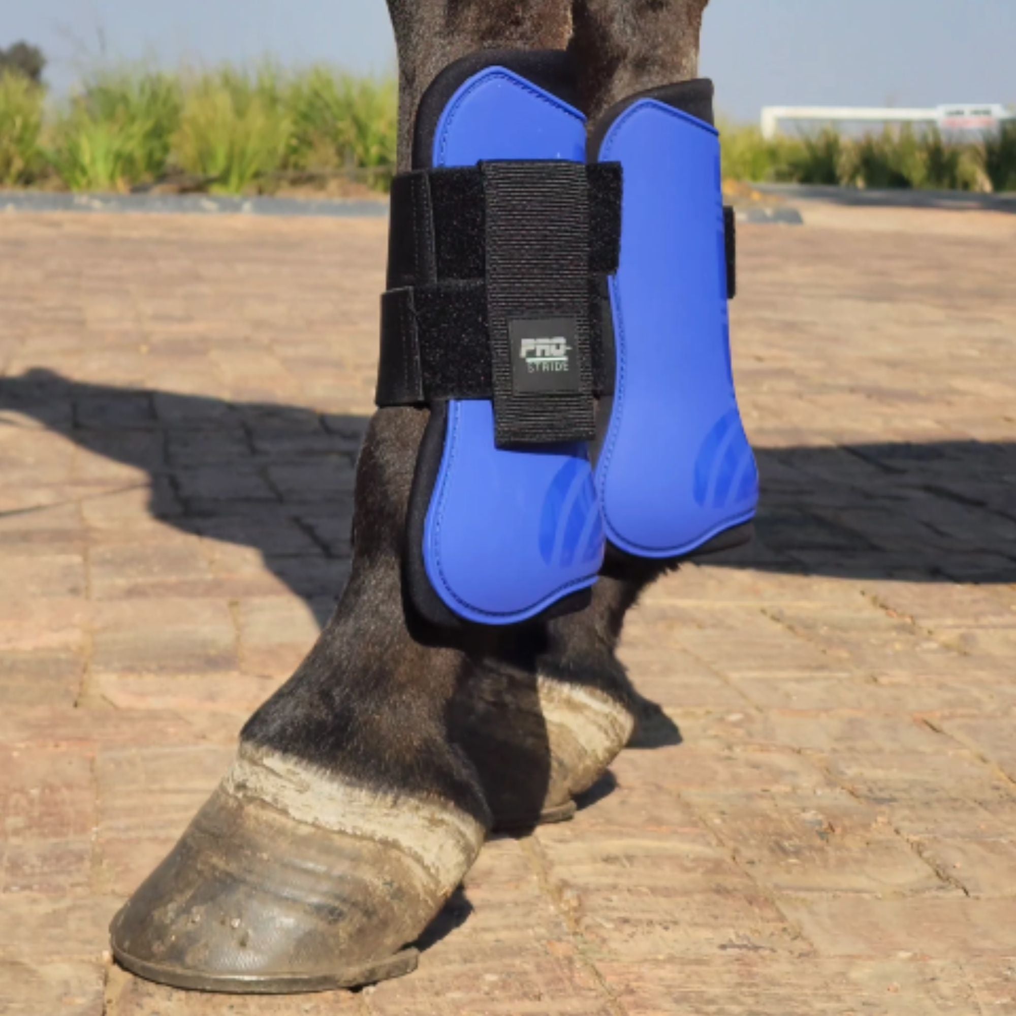 Prostride Tendon Boot Set